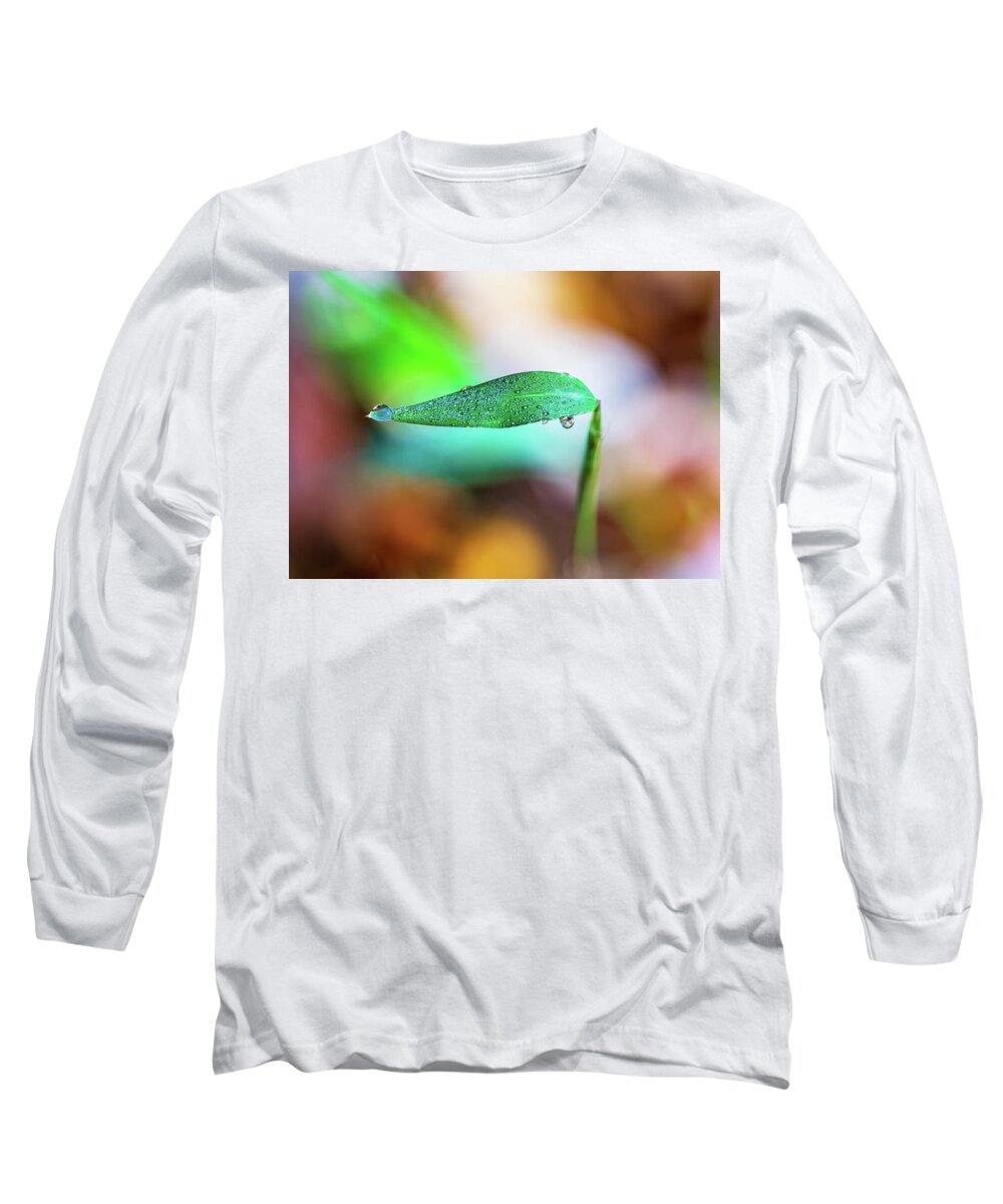 Water Drops Long Sleeve T-Shirt featuring the photograph Water Drops on Leaf by Amelia Pearn