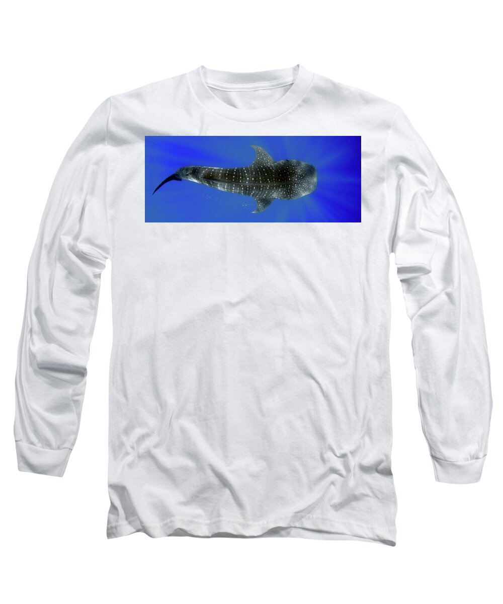 Whale Shark Long Sleeve T-Shirt featuring the photograph Whale shark by Artesub