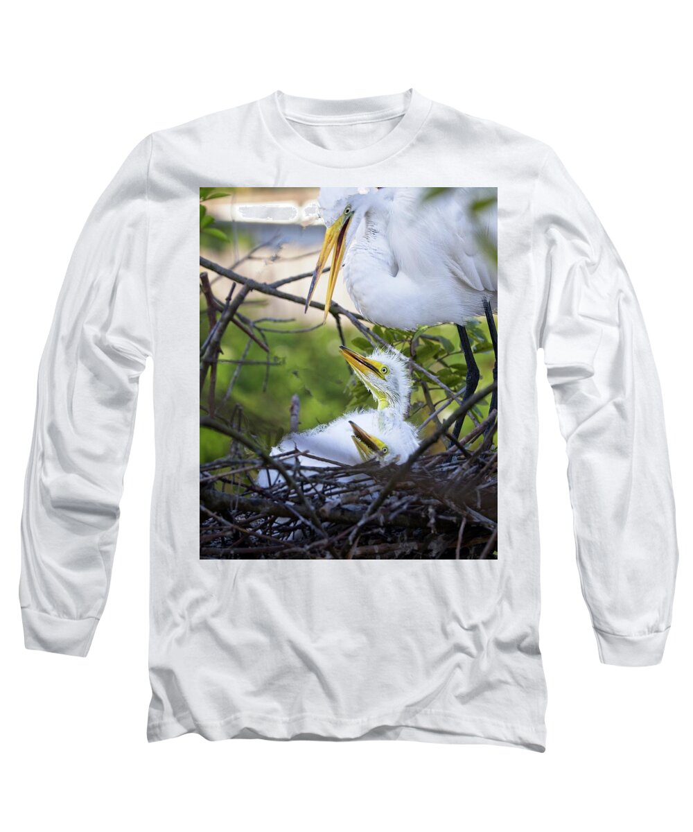 Great Long Sleeve T-Shirt featuring the photograph Where Is My Lunch by Ronald Lutz