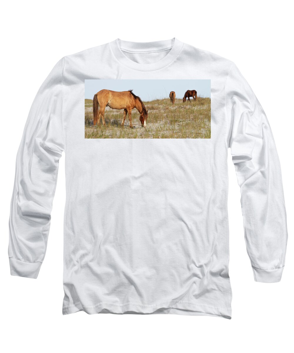 Wild Horses Long Sleeve T-Shirt featuring the photograph Wild Horses of the Southern Outer Banks of North Carolina by Bob Decker