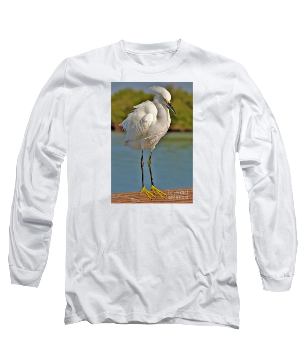 Egret Long Sleeve T-Shirt featuring the photograph Wind in my Feathers by Joanne Carey