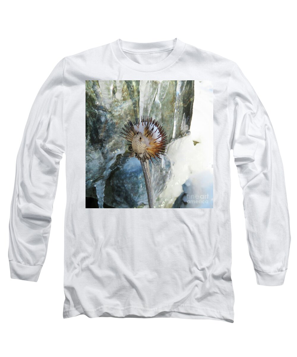 Winter Long Sleeve T-Shirt featuring the photograph Winter Botanical 18 by Amy E Fraser