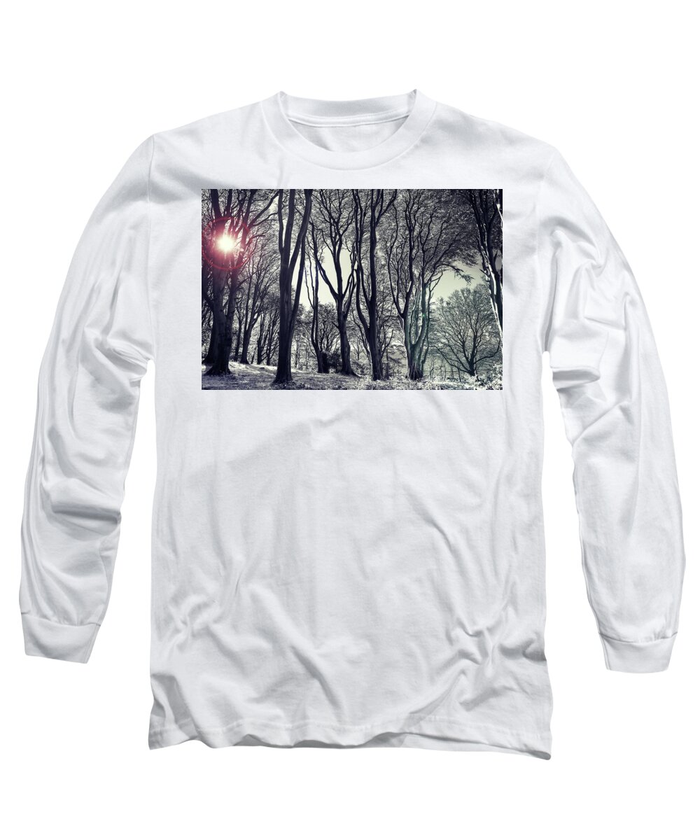 Tree; Woods; Forest; Eerie; Landscape; Snow; Wood; Monochrome; Cold; Frost; Leaf; Nature; Horizontal; Wide; Sunrise - Dawn; Natural Parkland; Public Park; Branch - Plant Part; Sun; Dark; Wide Shot; Wide Angle; Non-urban Scene; Scenics - Nature Long Sleeve T-Shirt featuring the photograph Winter Woods by Martyn Boyd