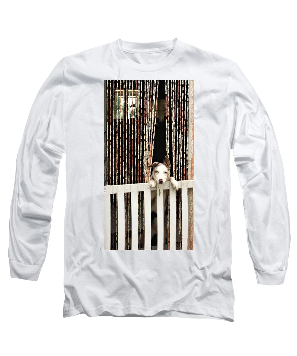 Dog Long Sleeve T-Shirt featuring the photograph You're Leaving Without Me? by Christine Rivers