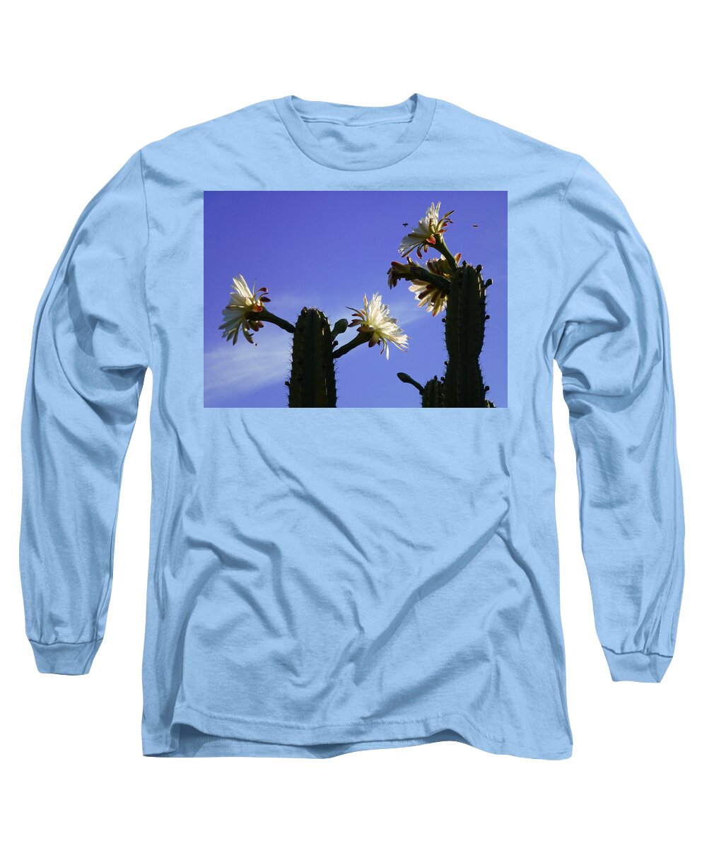 Cactus Long Sleeve T-Shirt featuring the photograph Flowering Cactus 4 by Mariusz Kula