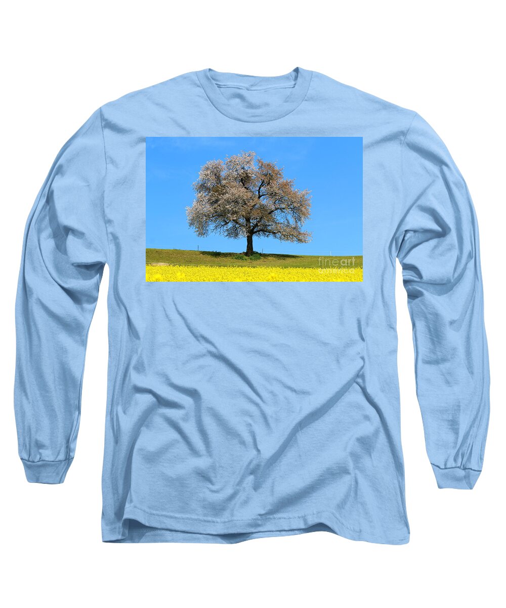  Agriculture Long Sleeve T-Shirt featuring the photograph A blooming lone Tree in Spring with canolas in front 2 by Amanda Mohler