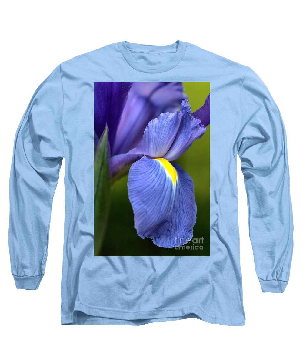 Iridaceae Long Sleeve T-Shirt featuring the photograph Beauty of Iris by Joy Watson