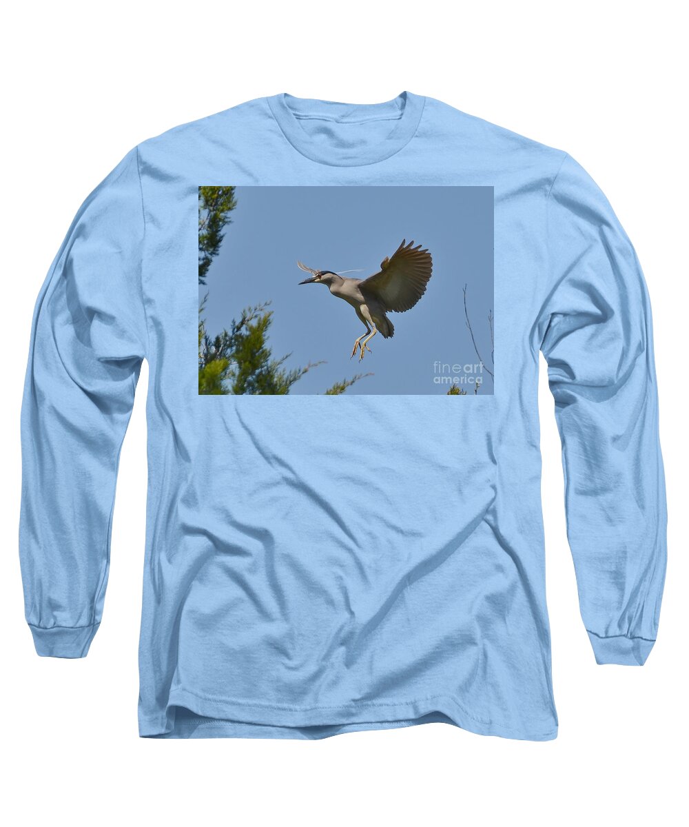 Heron Long Sleeve T-Shirt featuring the photograph Black Crowned Night Heron In Flight by Kathy Baccari