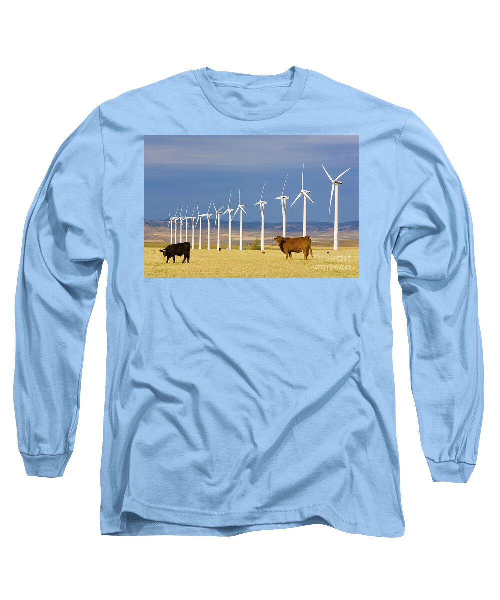 00431076 Long Sleeve T-Shirt featuring the photograph Cattle And Windmills in Alberta Canada by Yva Momatiuk and John Eastcott