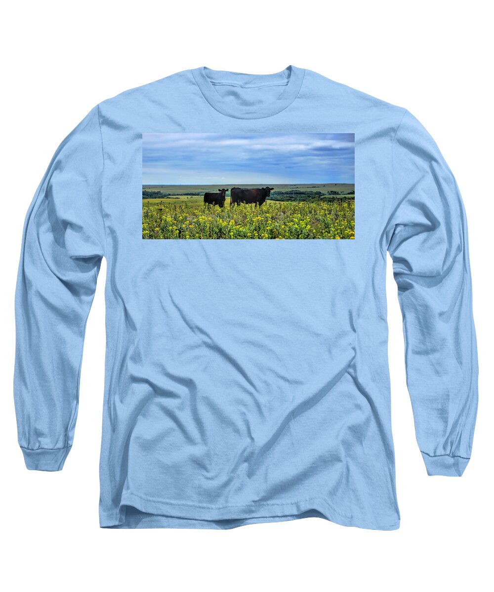 Cattle Long Sleeve T-Shirt featuring the photograph Flint Hills Cattle by Alan Hutchins