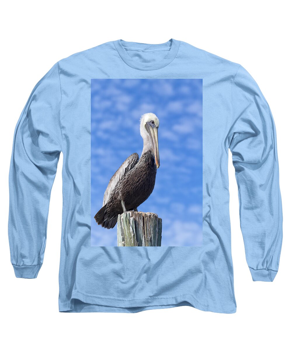 Pelican Long Sleeve T-Shirt featuring the photograph Florida Brown Pelican by Kim Hojnacki