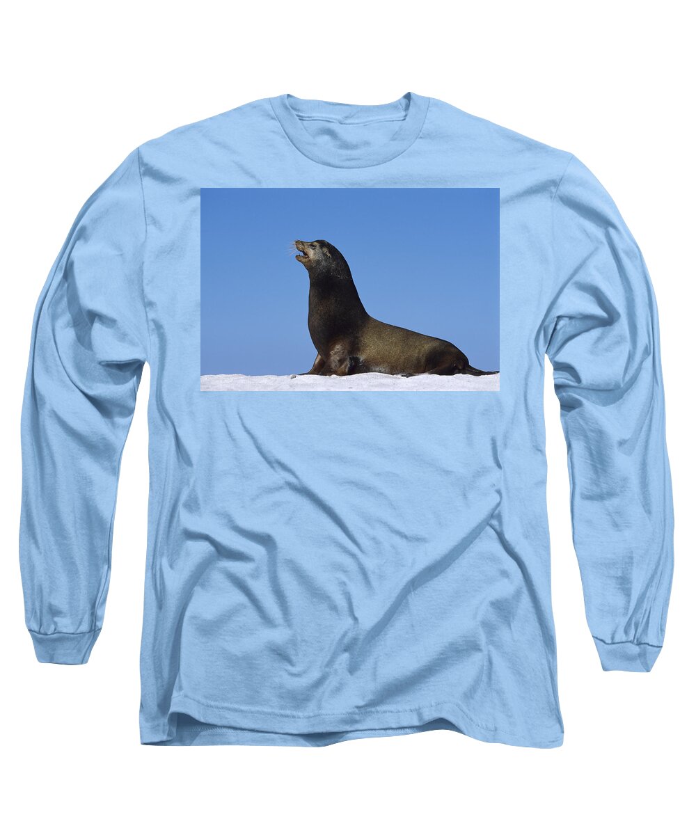 Feb0514 Long Sleeve T-Shirt featuring the photograph Galapagos Sea Lion Bull Galapagos by Tui De Roy