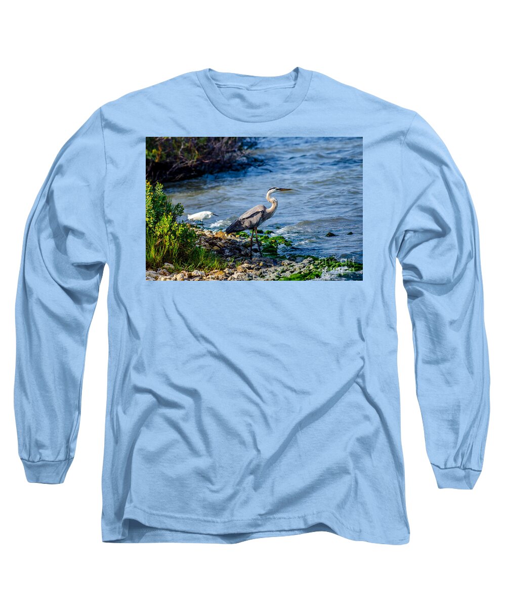 Great Blue Heron Long Sleeve T-Shirt featuring the photograph Great Blue Heron and Snowy Egret at Dinner Time by Debra Martz