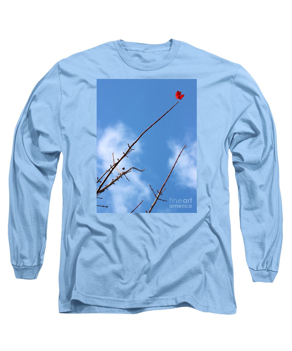 Leaf Long Sleeve T-Shirt featuring the photograph Last Leaf Standing by Karen Adams