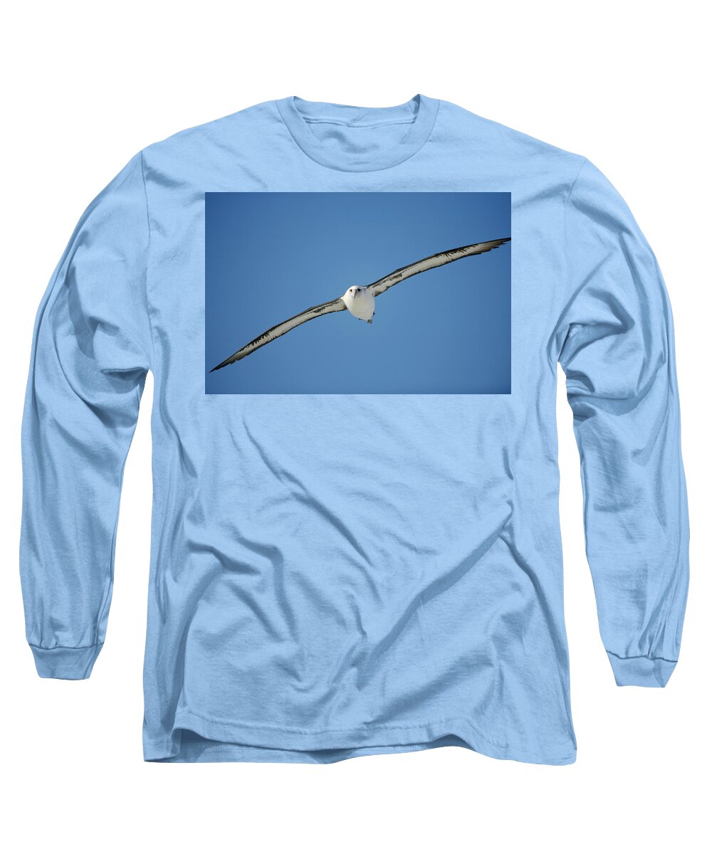 Feb0514 Long Sleeve T-Shirt featuring the photograph Laysan Albatross Soaring Hawaii by Tui De Roy