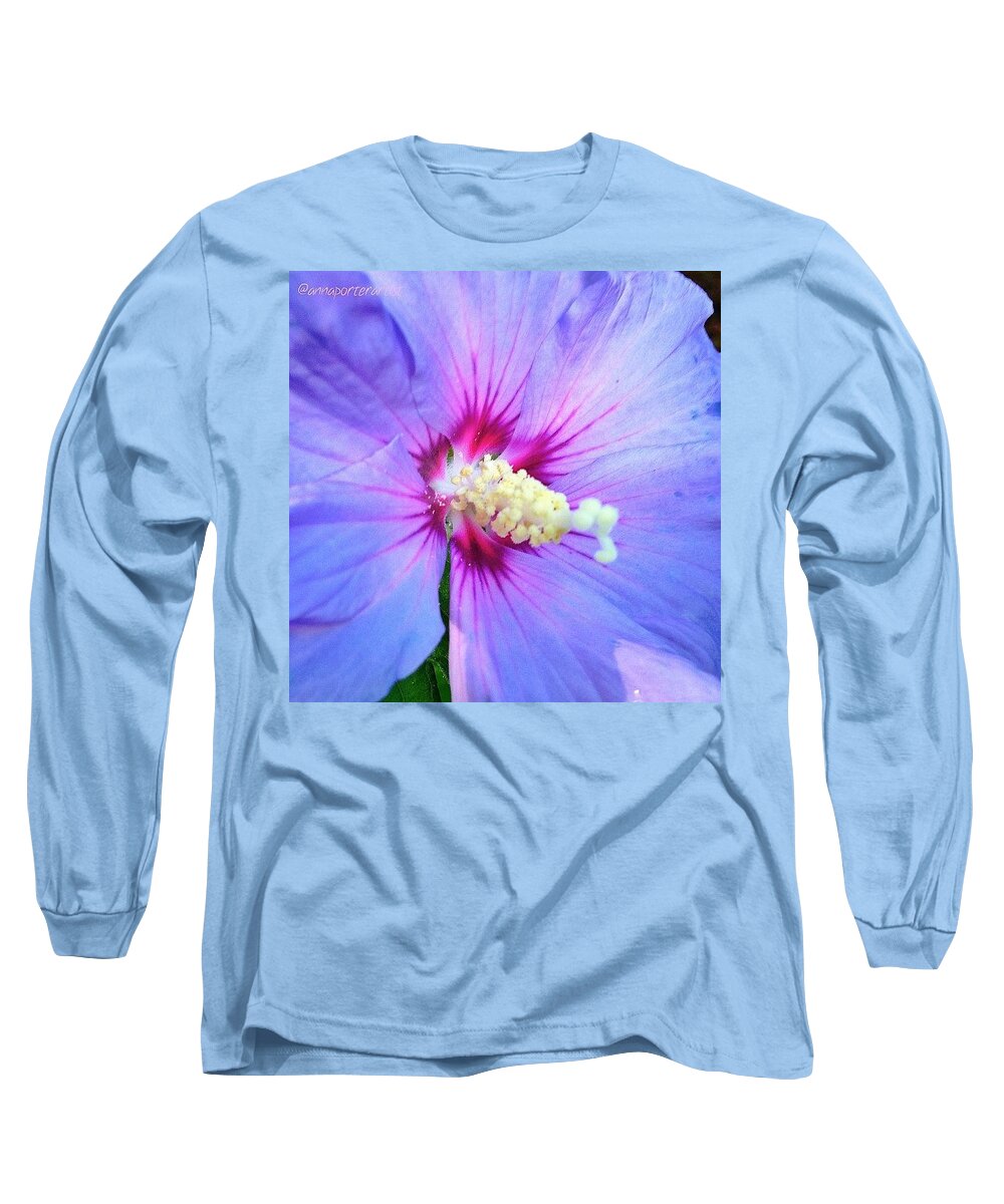 Picframe Long Sleeve T-Shirt featuring the photograph Lovely Pale Purple Bluebird Rose Of by Anna Porter