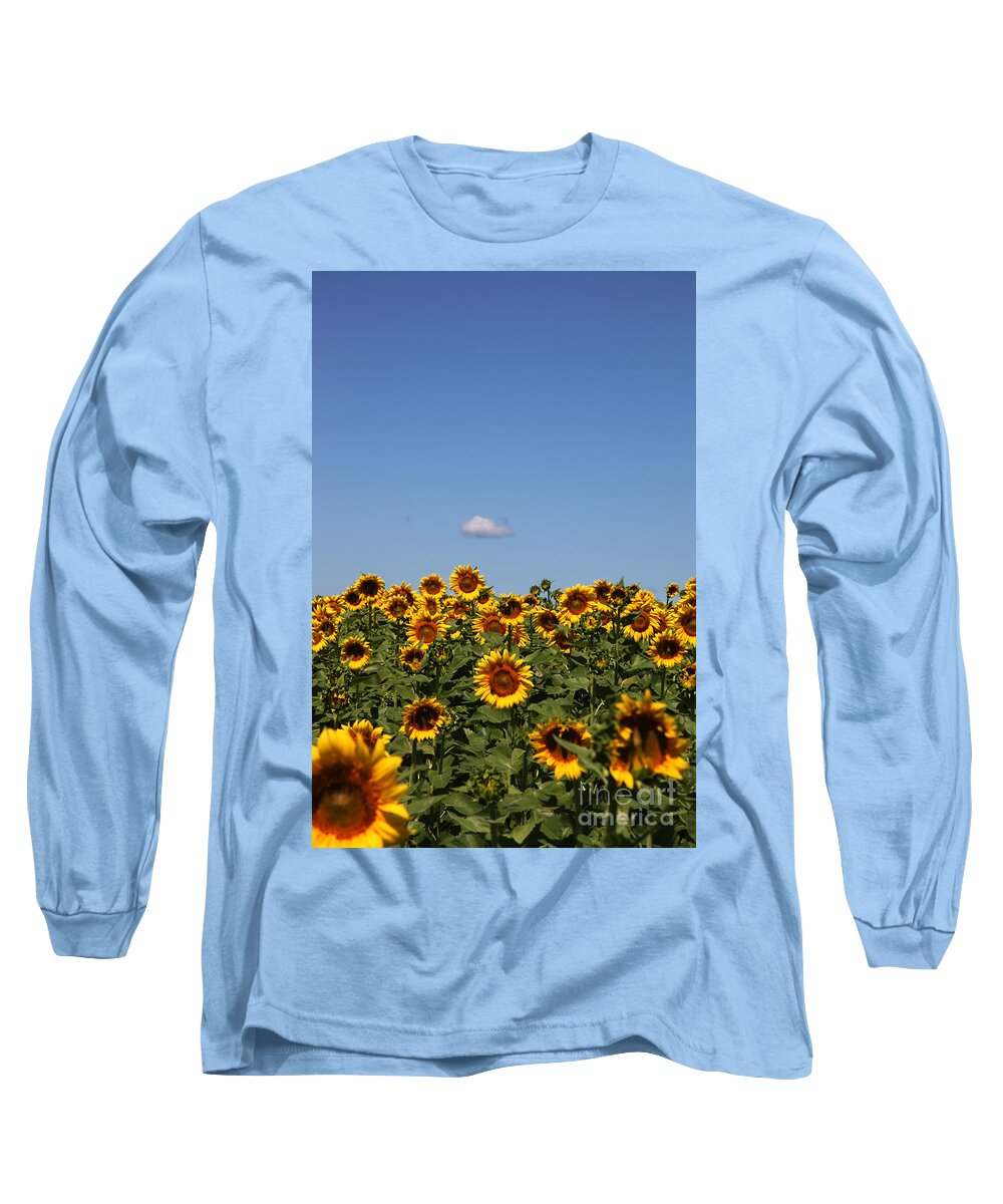 Sunflower Long Sleeve T-Shirt featuring the photograph Passing by by Amanda Barcon