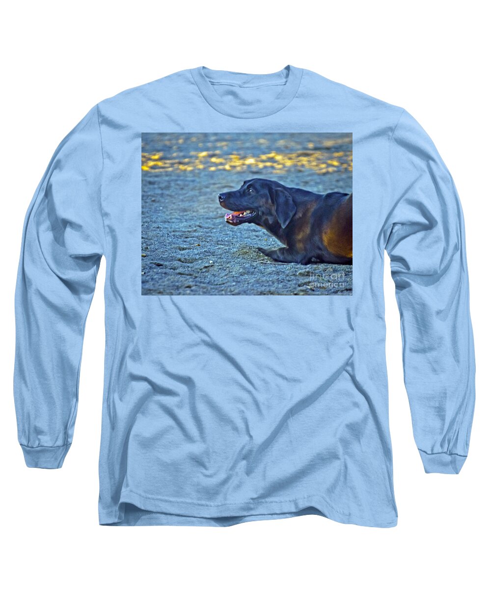 Dog Long Sleeve T-Shirt featuring the photograph Pepper in action by PatriZio M Busnel