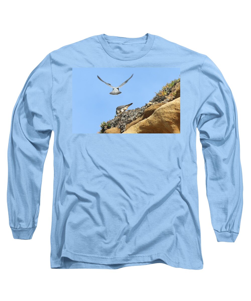 Peregrine Long Sleeve T-Shirt featuring the photograph Peregrine Falcons - 2 by Christy Pooschke