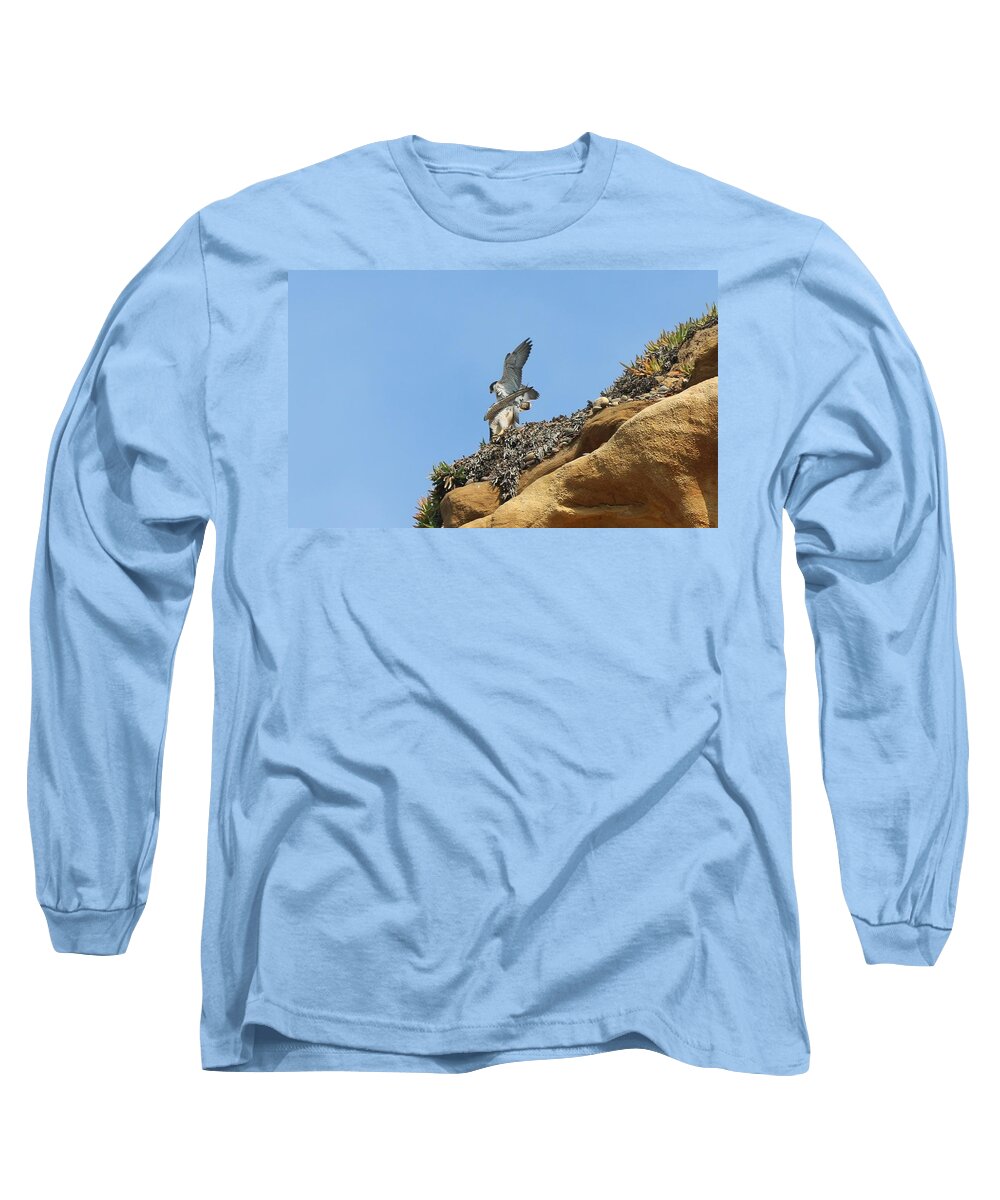 Peregrine Long Sleeve T-Shirt featuring the photograph Peregrine Falcons - 3 by Christy Pooschke