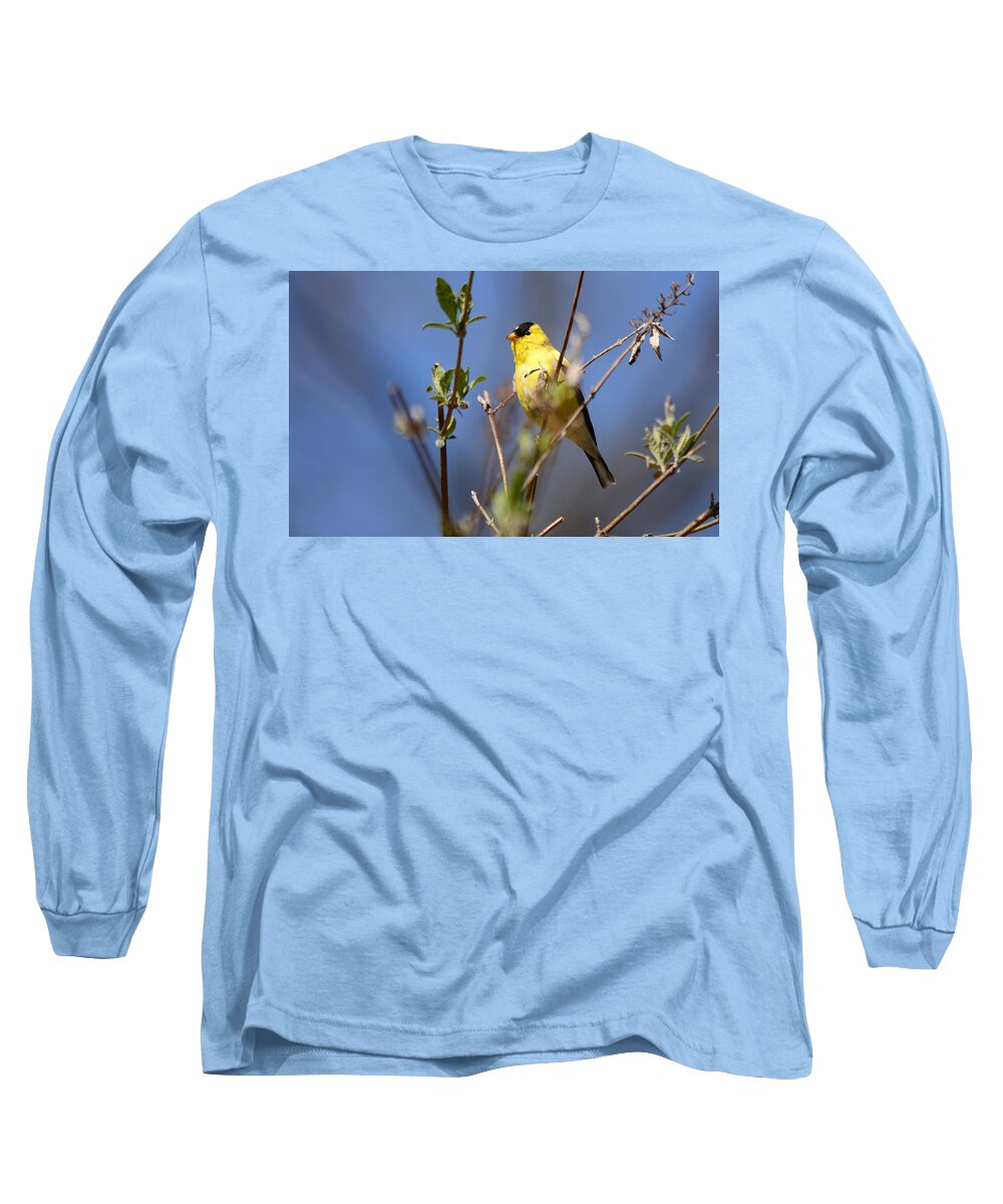 Goldfinch Long Sleeve T-Shirt featuring the photograph Perfect Shade of Yellow by Lori Tambakis