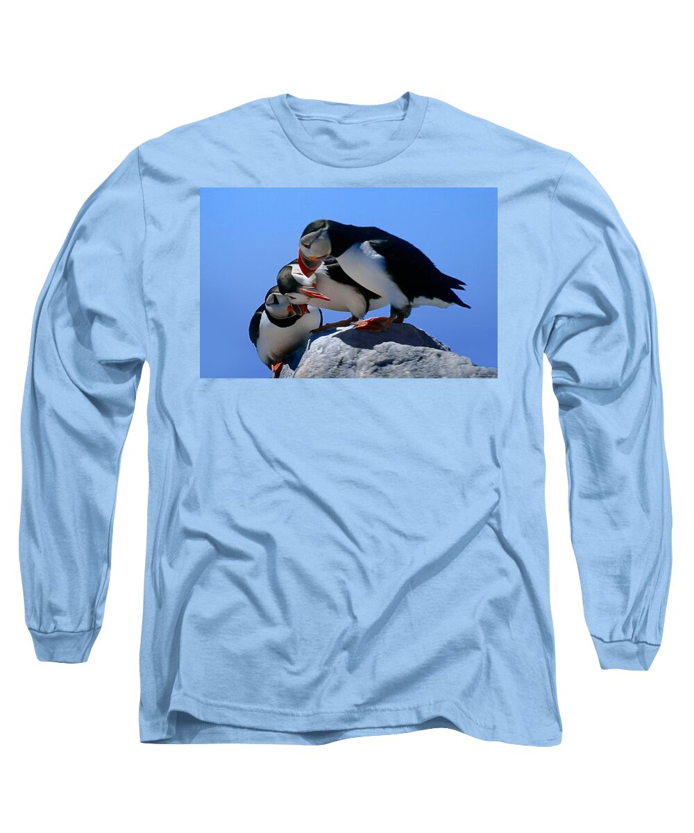 Puffins Long Sleeve T-Shirt featuring the photograph Puffins Discussin by Marty Saccone