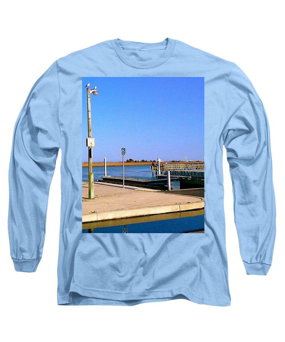 Seagulls Long Sleeve T-Shirt featuring the photograph Sea Gulls Watching Over the Wetlands by Chris W Photography AKA Christian Wilson
