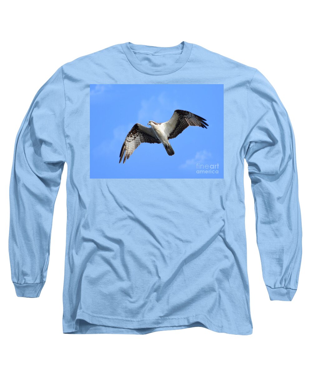 Osprey Long Sleeve T-Shirt featuring the photograph Soaring Osprey by Kathy Baccari