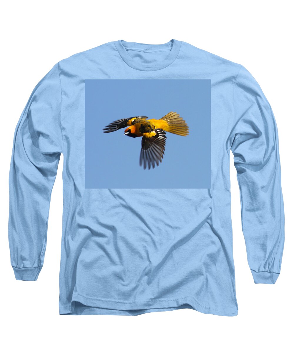 Birds Long Sleeve T-Shirt featuring the photograph Spot Breasted Oriole in Flight by Dart Humeston