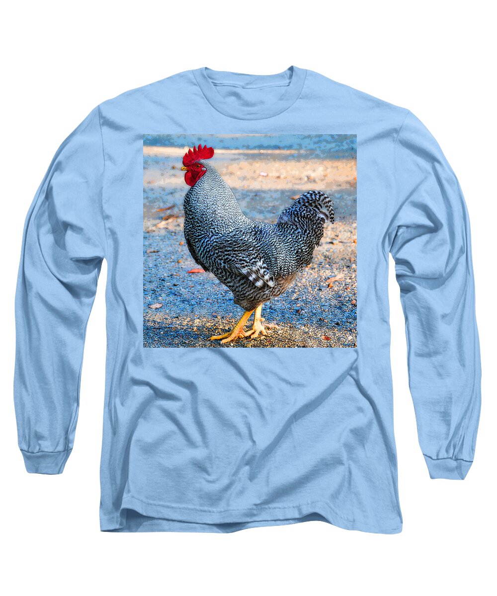 Rooster Long Sleeve T-Shirt featuring the photograph Struttin' Rooster by Liz Mackney