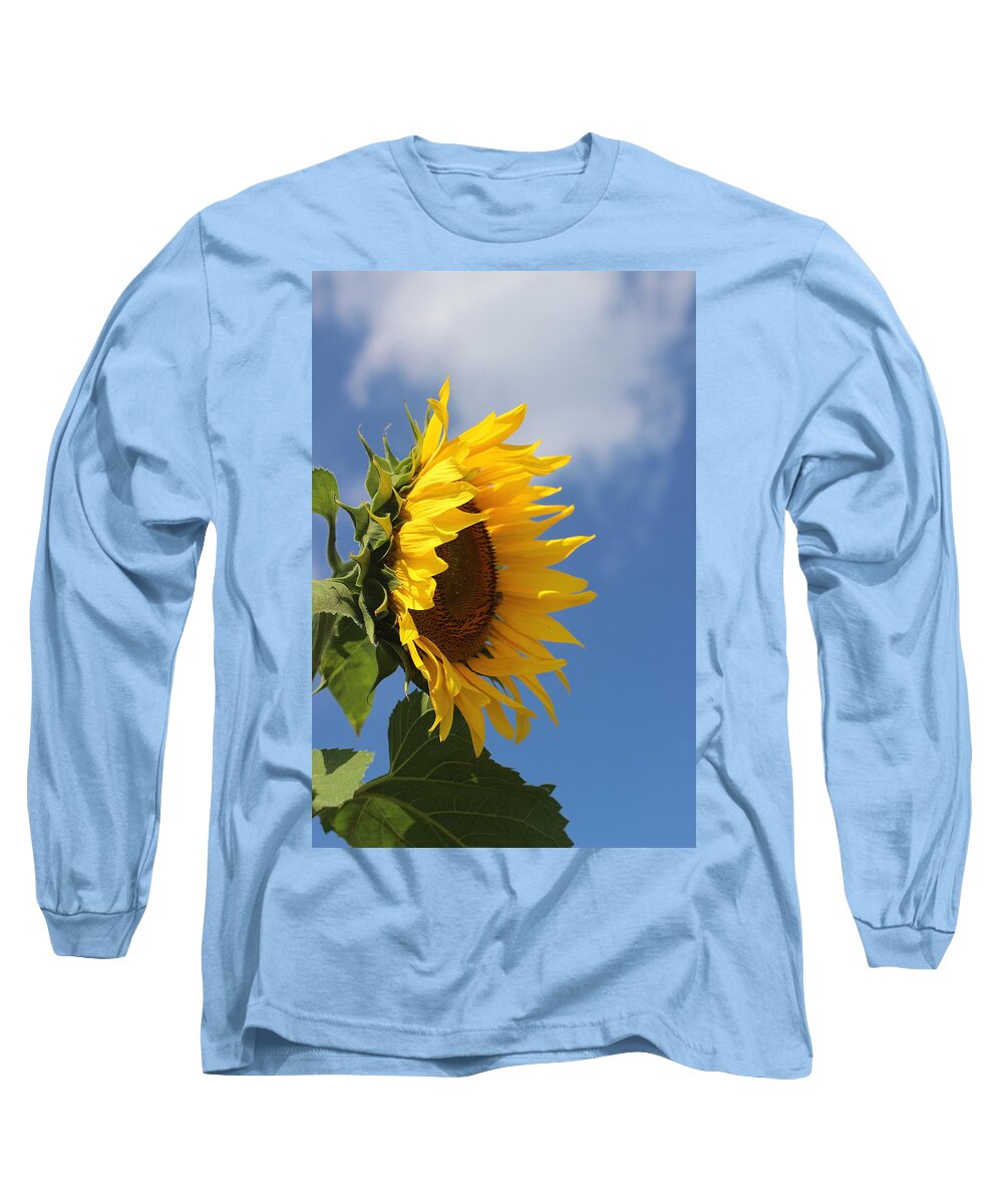 Sunflower Long Sleeve T-Shirt featuring the photograph Sunflower Profile 2 by Cathy Lindsey