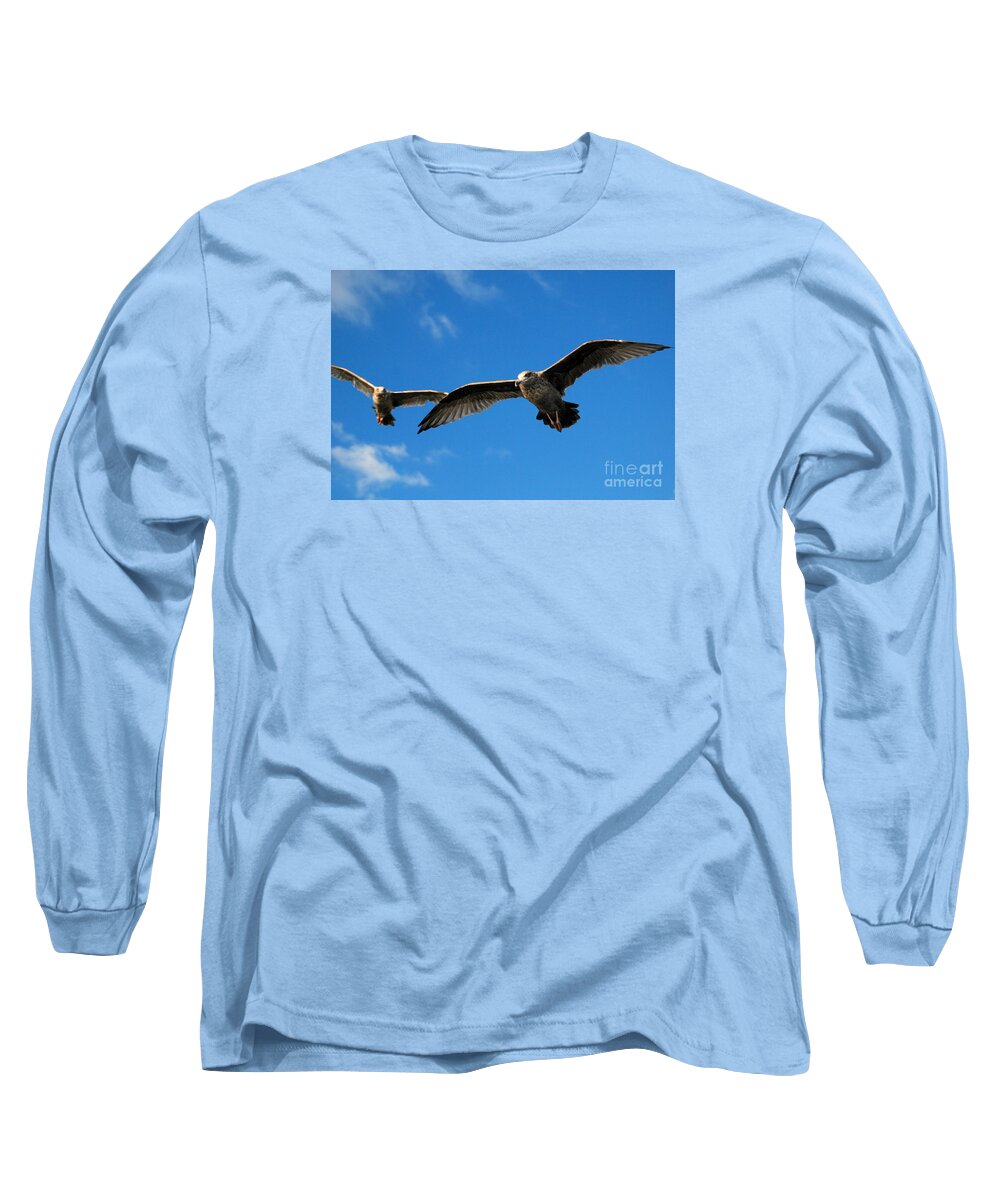 Seagull Sky Soar Glide Fly Long Sleeve T-Shirt featuring the photograph Young Wings by Richard Gibb