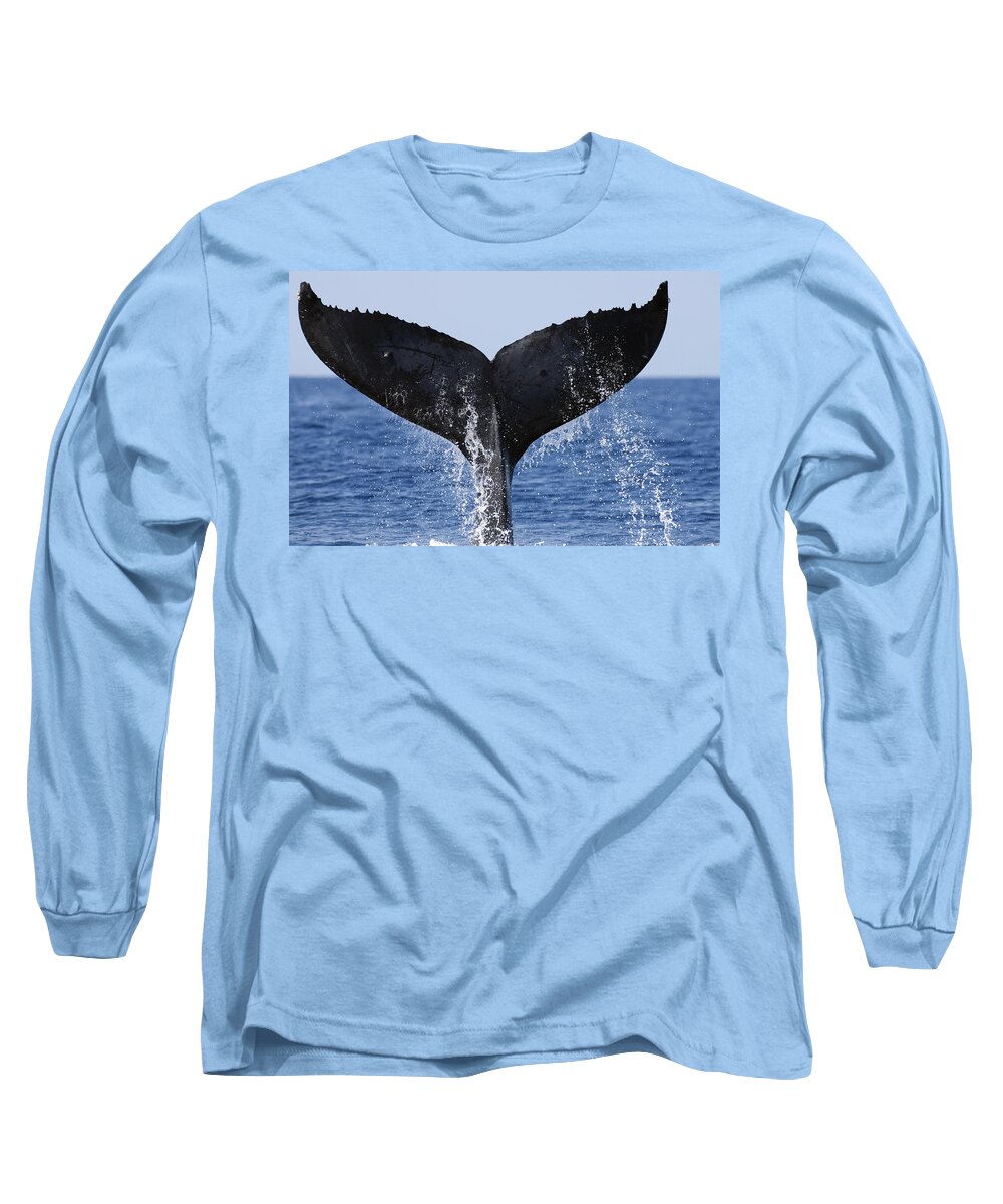00439459 Long Sleeve T-Shirt featuring the photograph Humpback Whale Tail Maui Hawaii #1 by Flip Nicklin