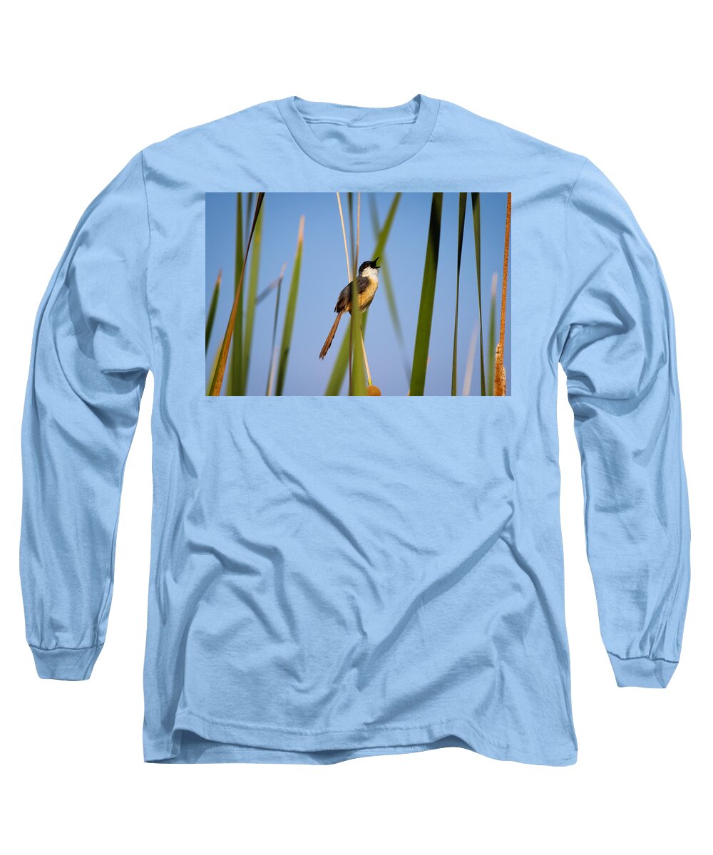 Bird Long Sleeve T-Shirt featuring the photograph Call out by SAURAVphoto Online Store