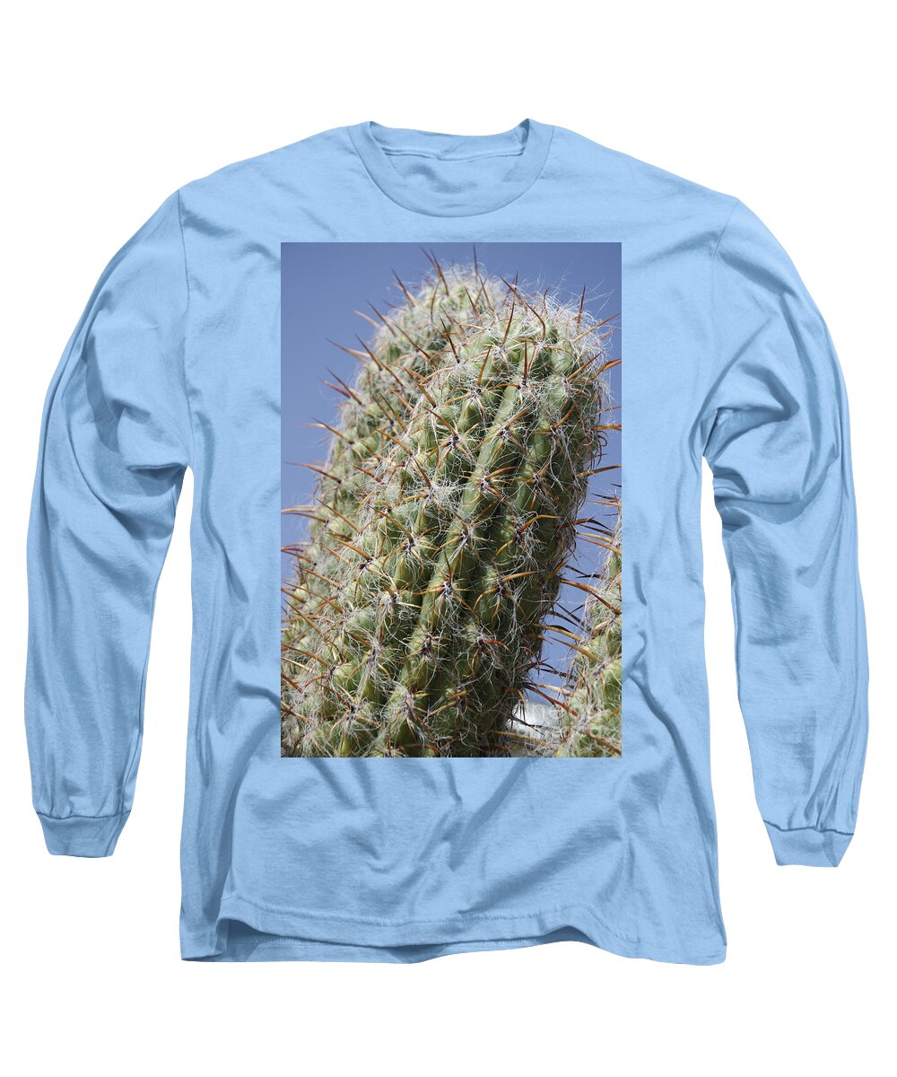 Cactus Long Sleeve T-Shirt featuring the photograph Fuzzy cactus by Jim And Emily Bush