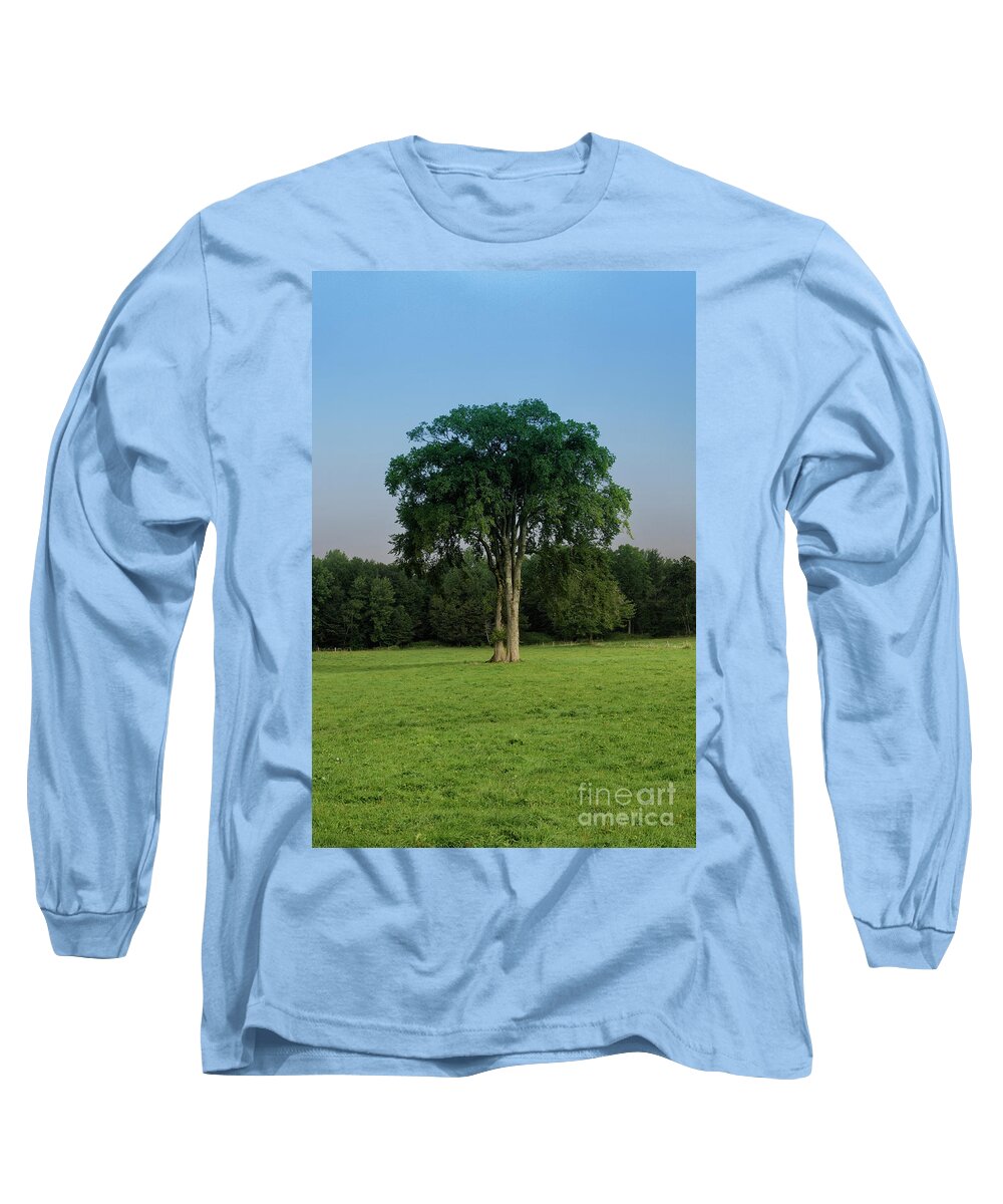 Maine Long Sleeve T-Shirt featuring the photograph Tree in field #2 by Kevin Shields