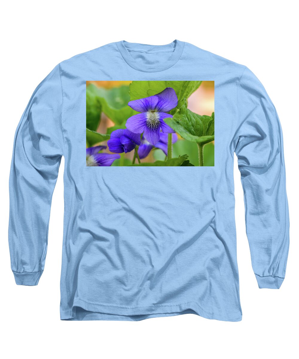 Blue Long Sleeve T-Shirt featuring the photograph Wild Violets by Ron Dubreuil