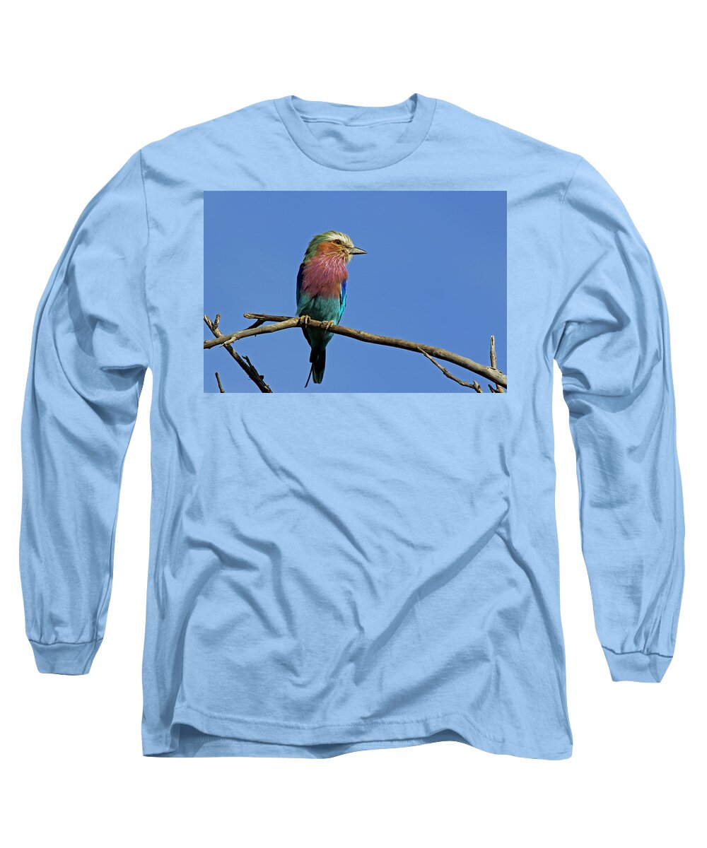 Botswana Long Sleeve T-Shirt featuring the photograph Lilac Breasted Roller #4 by Tony Murtagh