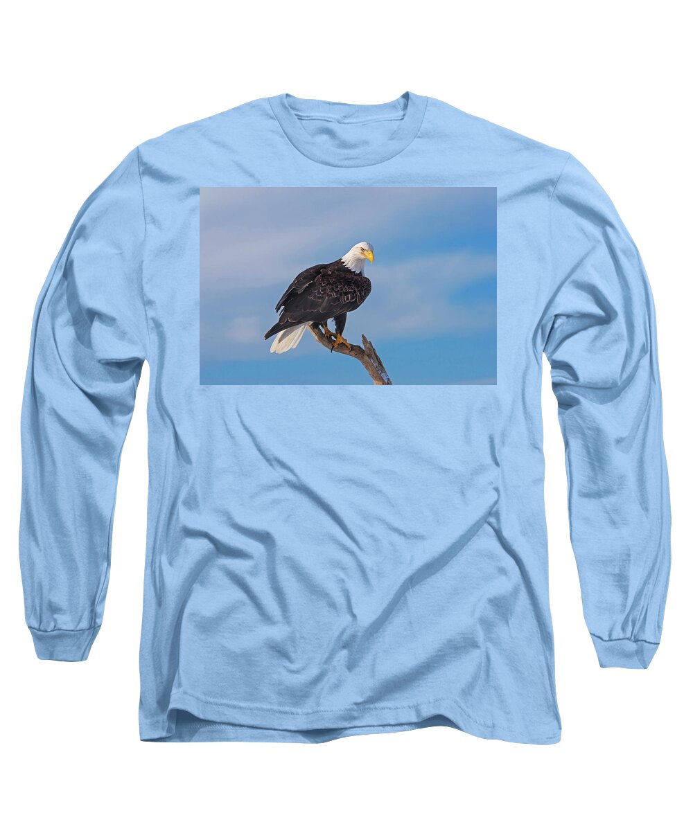 Bald Eagle Long Sleeve T-Shirt featuring the photograph Bald Eagle Majesty by Mark Miller