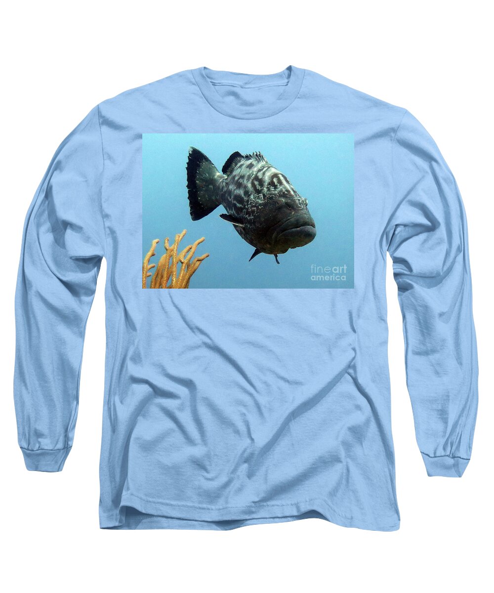 Underwater Long Sleeve T-Shirt featuring the photograph Black Grouper by Daryl Duda