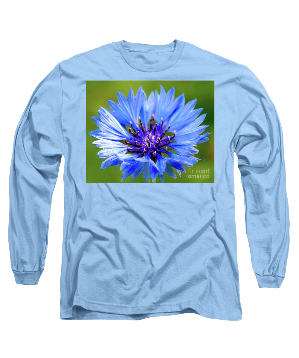 Macro Long Sleeve T-Shirt featuring the photograph Blue Cornflower by Baggieoldboy