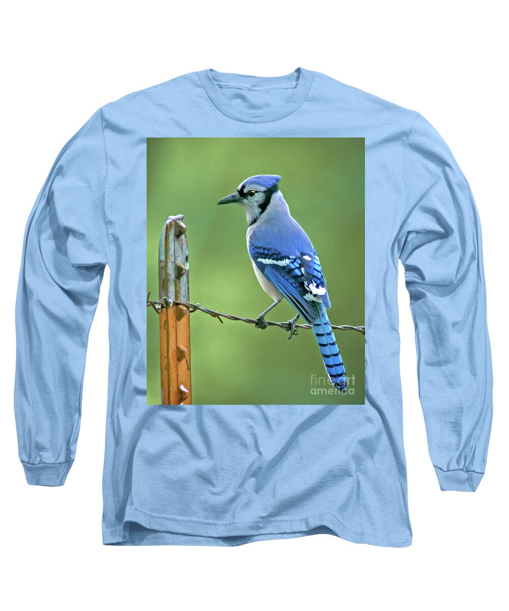 Animal Long Sleeve T-Shirt featuring the photograph Blue Jay On The Fence by Robert Frederick