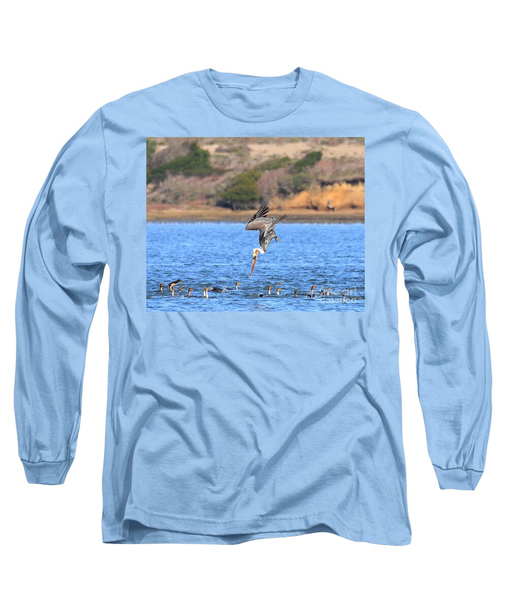 Wildlife Long Sleeve T-Shirt featuring the photograph Brown Pelican Diving by Wingsdomain Art and Photography