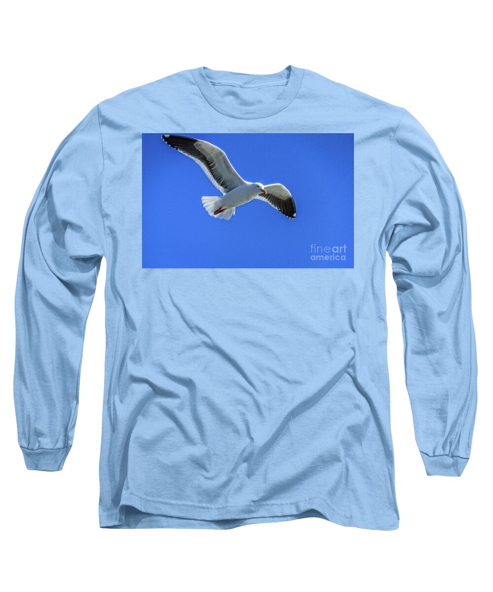Bird Long Sleeve T-Shirt featuring the photograph California Gull by Robert Bales