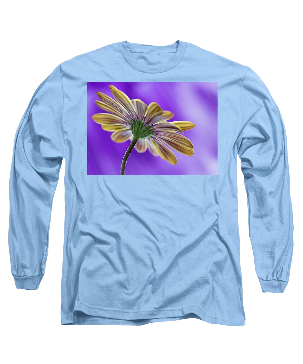 Bloom Long Sleeve T-Shirt featuring the photograph Cape Daisy by Shirley Mitchell