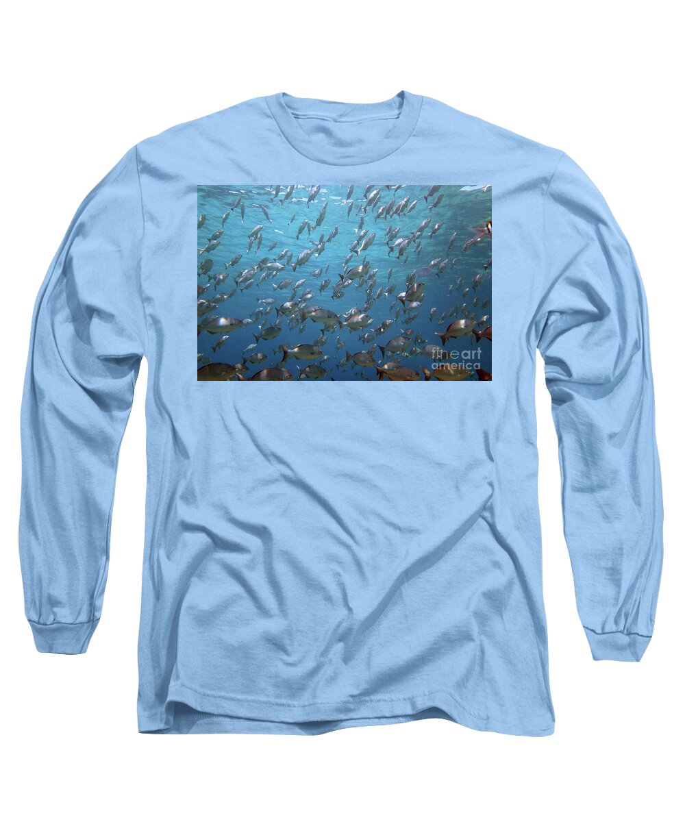 Unnderwater Long Sleeve T-Shirt featuring the photograph Chub Convention by Daryl Duda
