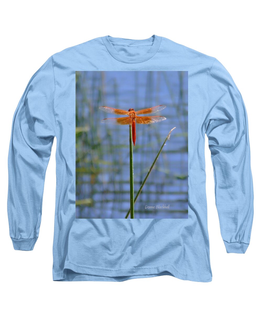 Dragonfly Long Sleeve T-Shirt featuring the photograph Flame Skimmer Dragonfly by Donna Blackhall