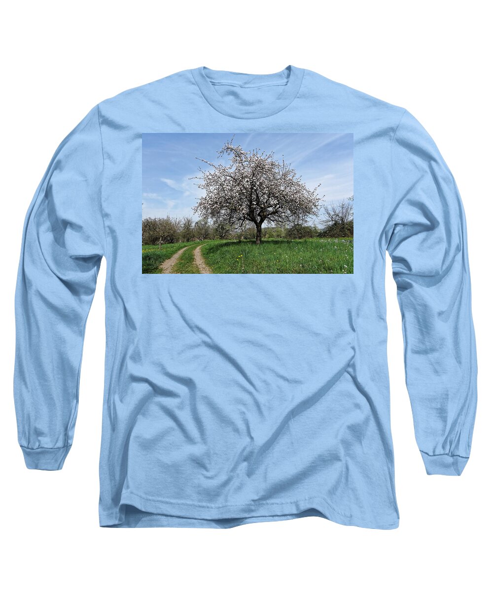 Tree Long Sleeve T-Shirt featuring the photograph Flowering Tree by Hartmut Knisel