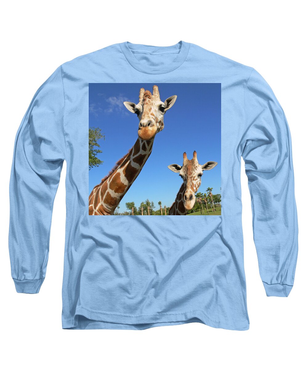 Giraffe Long Sleeve T-Shirt featuring the photograph Giraffes by Steven Sparks