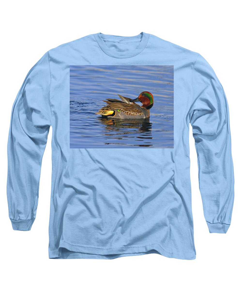 Green-winged Teal Long Sleeve T-Shirt featuring the photograph Green-winged Teal by Tony Beck